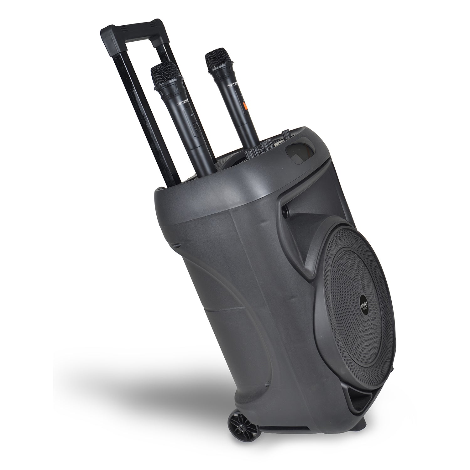 BONTEMPI - Speaker Bluetooth Wireless Trolley Tech 300W con 2 Microfoni e Luci RGB