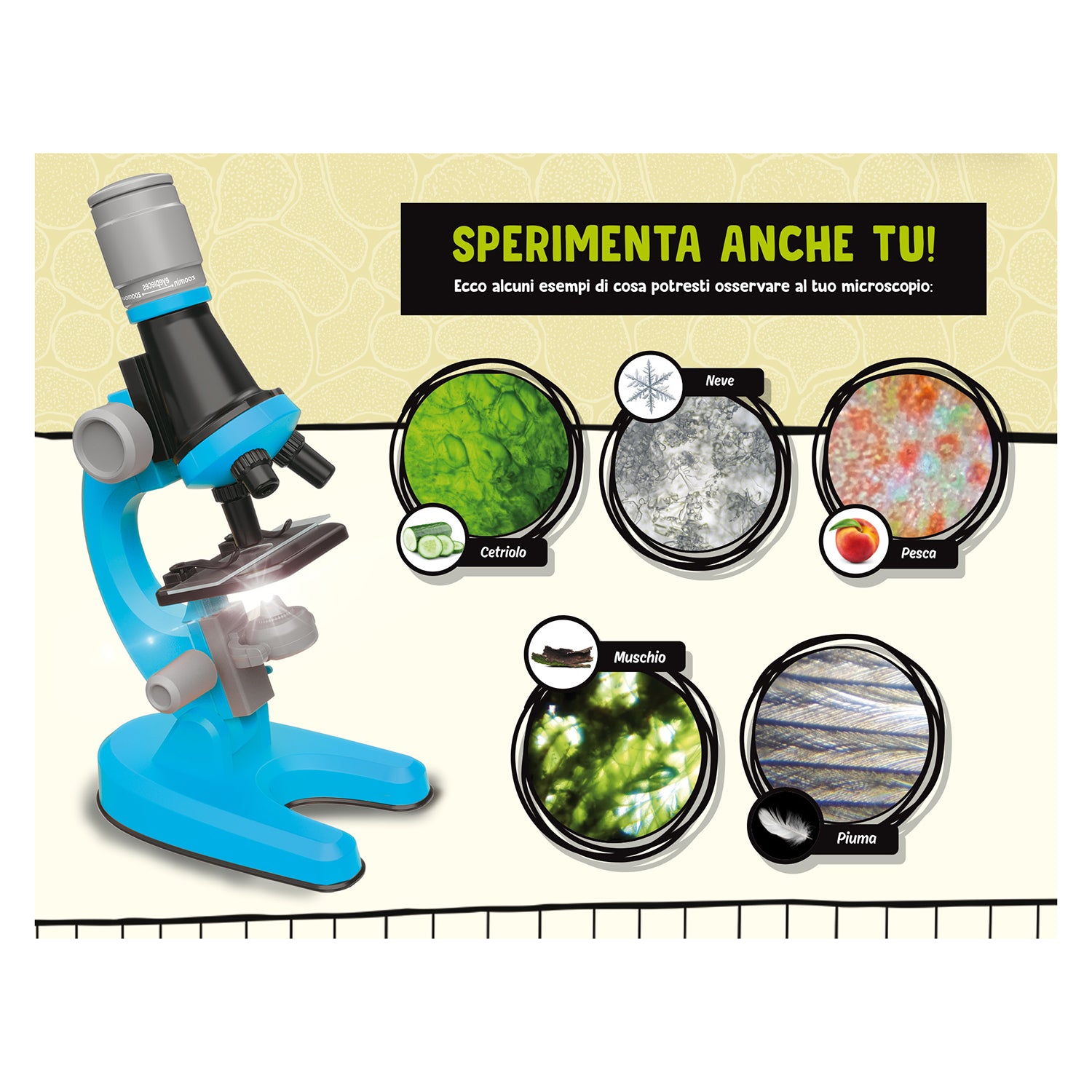 LISCIANI - Microscopio - I'm a genius science