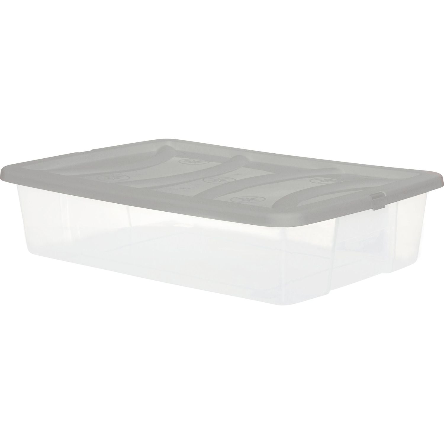 RAMACCIOTTI PLAST - Contenitore Multiuso Storage Box Sottoletto 25 litri - h15x60x41 cm