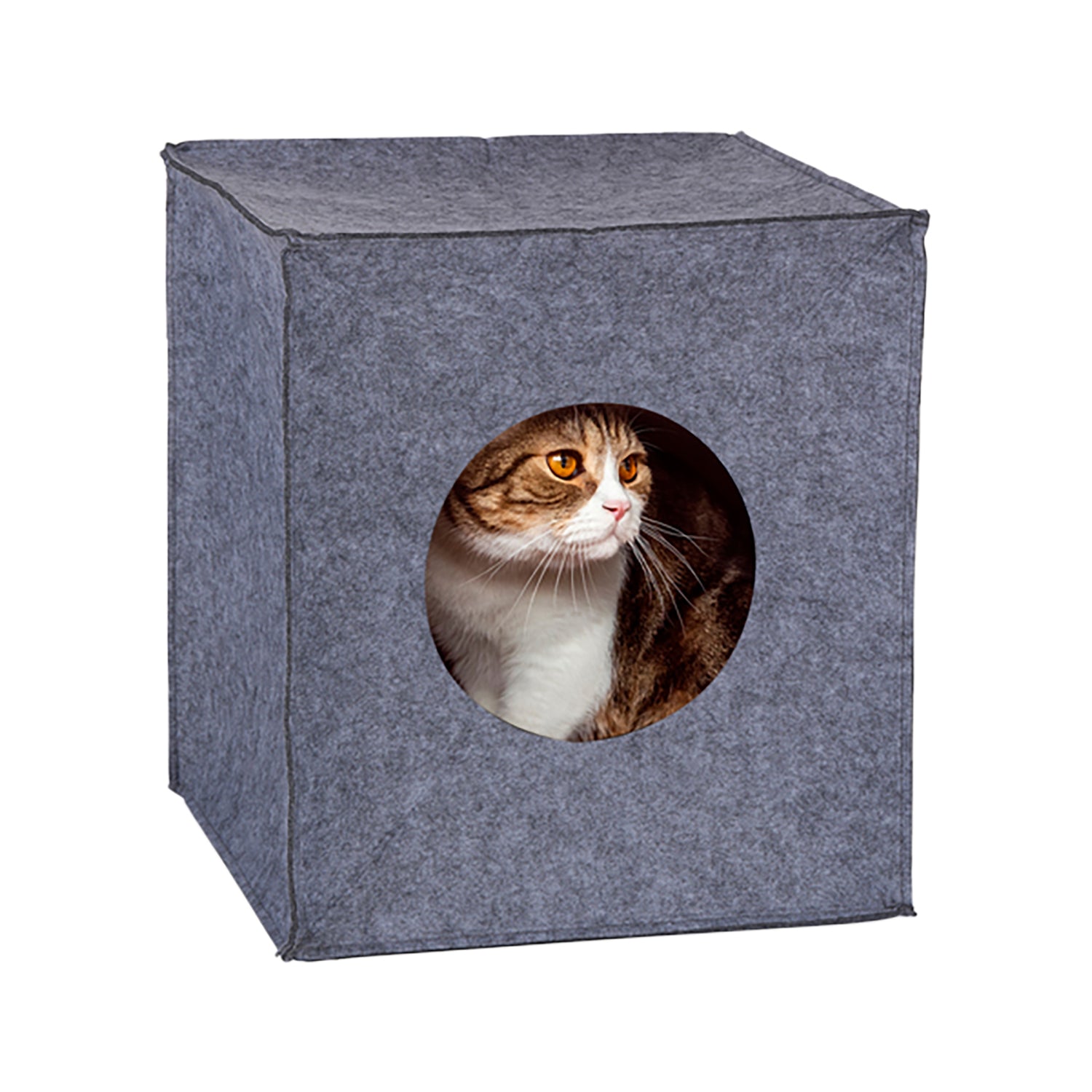 PET COMFORT - Casetta Richiudibile per Gatto - h33x37x33 cm