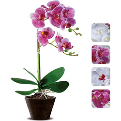 AD TREND - Pianta artificiale Orchidea con 9 fiori in vaso - h46 cm diametro 14 cm