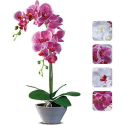 AD TREND - Pianta artificiale Orchidea con 12 fiori in vaso - h44 cm diametro 12 cm