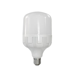 OMEGA - Lampadina Led T-Bulb T100 30W 6500K 2700LM E27