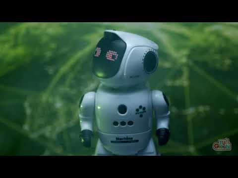TU GIOCHI - Robot Interattivo Denny
