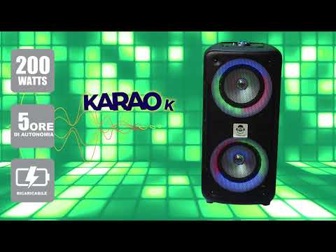 IDANCE - Speaker Bluetooth Altoparlante DJX100 con microfono e Luci RGB PartyBox
