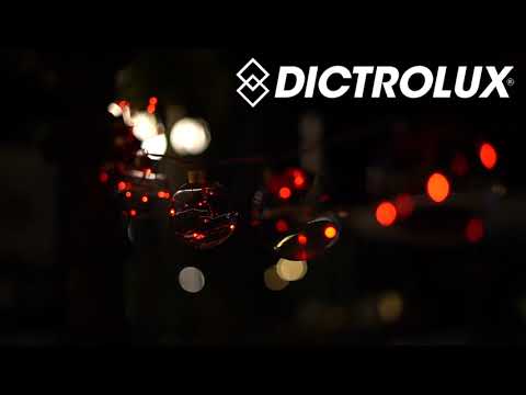 DICTROLUX - Catena Luminosa 10 Lampadine LED Multicolor 50 Luci Intermittenti