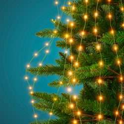 DICTROLUX - Mantello Luminoso per Albero 672 Microled Bianco Caldo altezza 210 cm - Decorazione natalizia luminosa