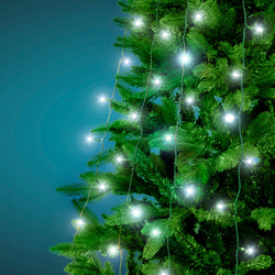 DICTROLUX - Mantello luminoso per albero 216 Led bianco freddo - h180 cm