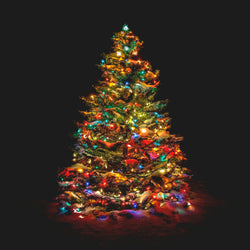DICTROLUX - Catena Luminosa Con App 240 Led Rgb color - Decorazione natalizia luminosa