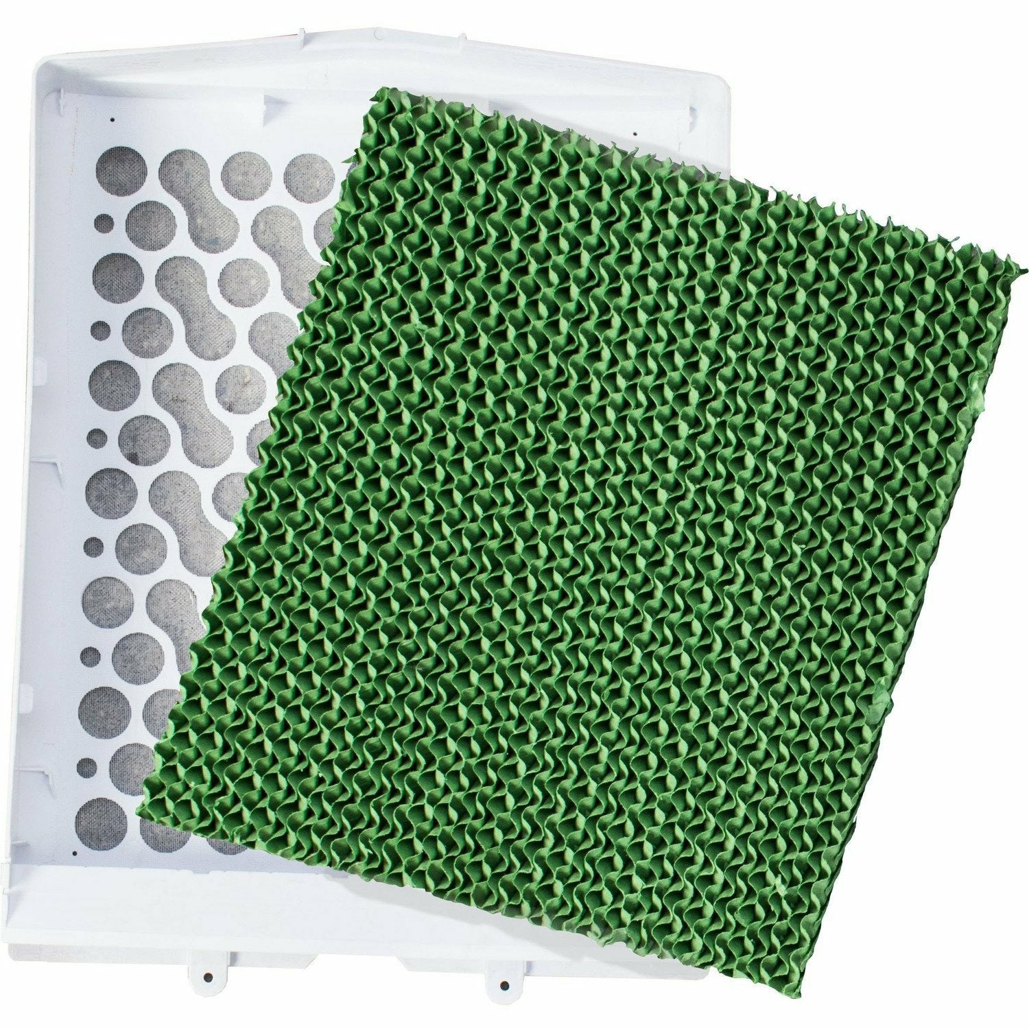 DICTROLUX - Raffrescatore multifunzione 3 in 1 WindBlow 65 Watt