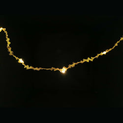 DICTROLUX - Catena luminosa natalizia 25 microled bianco caldo - 3 metri