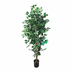 AD TREND - Pianta artificiale Eucalipto in vaso - h150cm